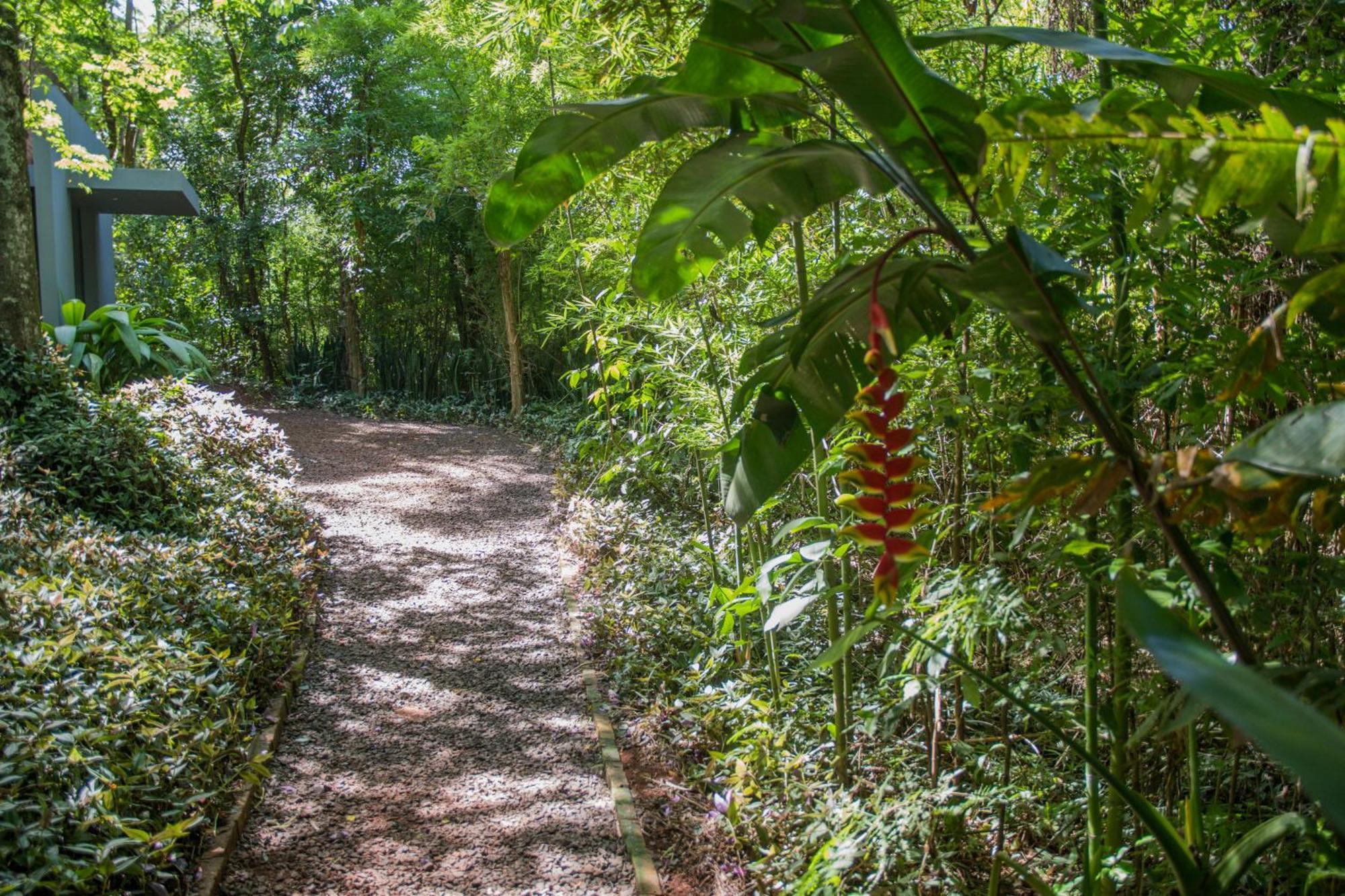 Raices Amambai Lodges Puerto Iguazú Kültér fotó