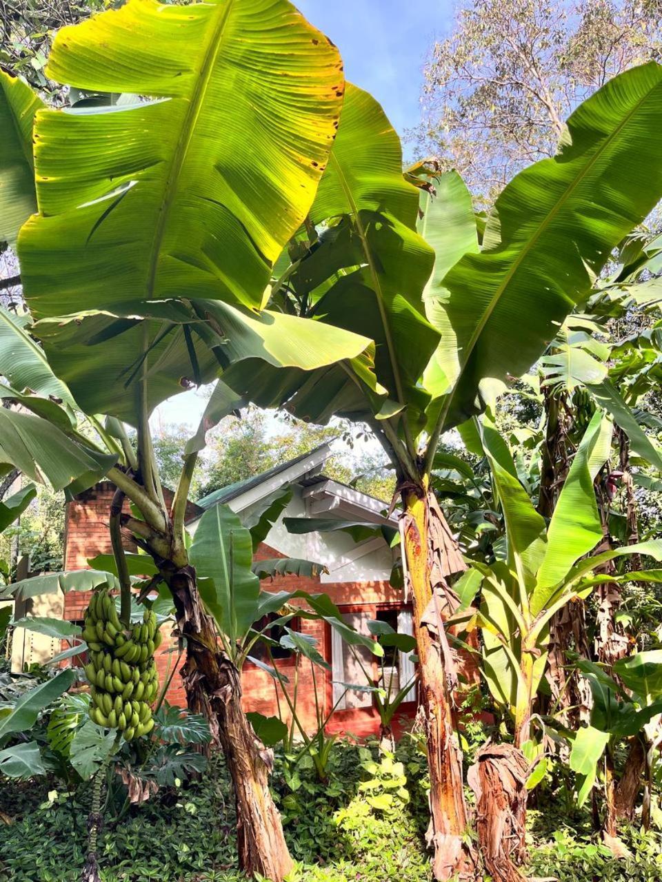 Raices Amambai Lodges Puerto Iguazú Kültér fotó